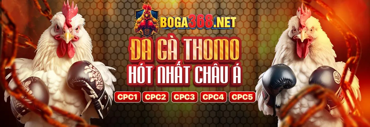 Phương thức thanh toán an toàn tại hi823 đăng nhập